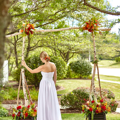 Arbor of Love Archway –  Bloomtopia, New Bedford MA