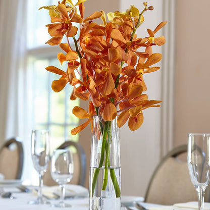 Orange Mokara Bud Vase –  Bloomtopia, New Bedford MA