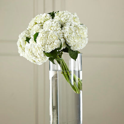 White Hydrangea Hand-Tied Bouquet –  Bloomtopia, New Bedford MA