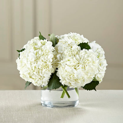 White Hydrangea Bouquet –  Bloomtopia, New Bedford MA